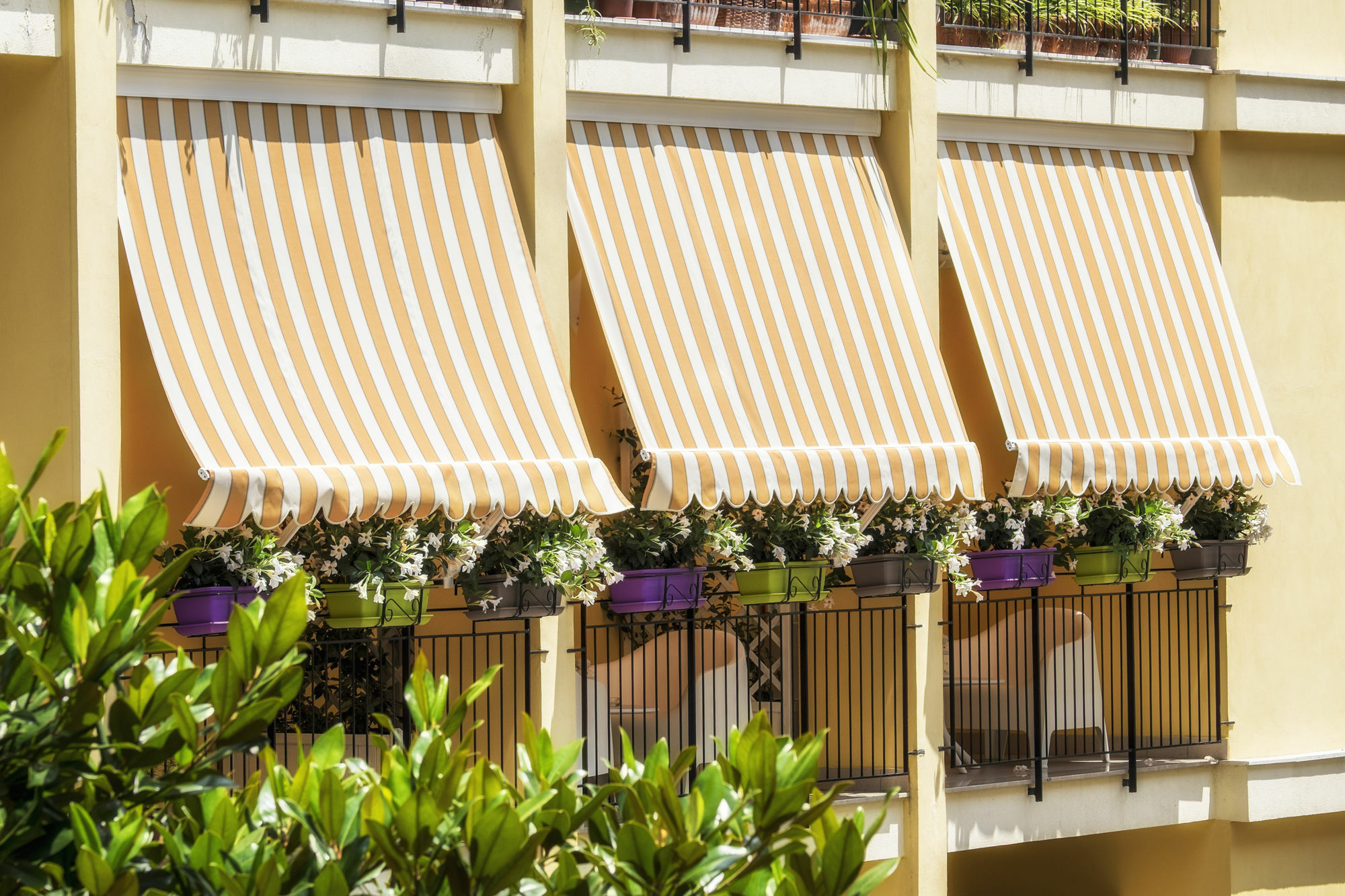 Al Parco Verde B&B Sorrento Dış mekan fotoğraf